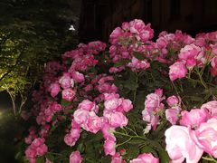 -七浦路服装批发市场