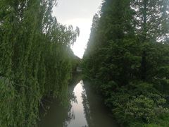 -同里国家湿地公园