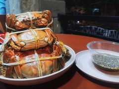 阳澄湖大闸蟹-黄记大闸蟹专卖店·活蟹·醉蟹