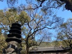 -普陀山风景名胜区-法雨禅寺