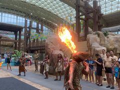 -杭州开元森泊度假乐园