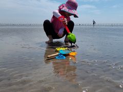 -南汇嘴观海公园