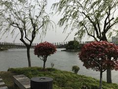 东区-上海鲜花港
