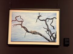 -罗红摄影艺术馆