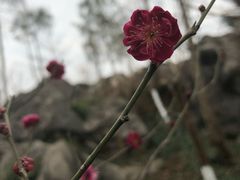 -佛爷洞旅游景区