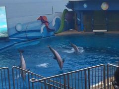 -香港海洋公园