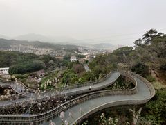 -福道
