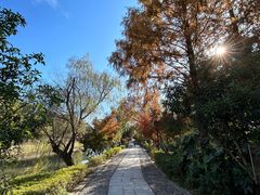 -兰亭风景区