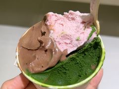 -鹤茶野所(上海首店)