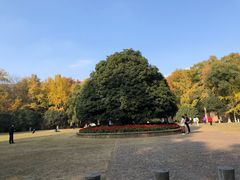 -灵谷景区