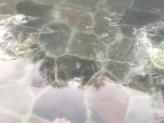 -中家鑫园温泉酒店鑫悦汤泉