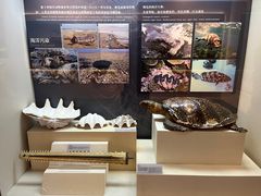 -上海中国航海博物馆