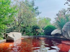 -七彩云南古滇温泉山庄