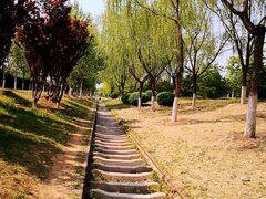 -永定河休闲森林公园