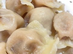 西葫羊肉水饺-同发号饭庄(复兴路店)