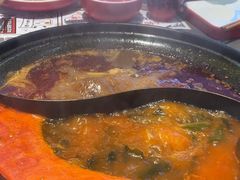 -生活如沸·顺德水牛奶火锅(大学路店)