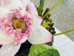 -上海植物园-4号门售票处