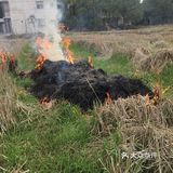 我点进主页一看就知道他们是合肥同一个圈子的