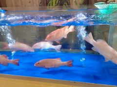 -三六三杭州菜(水上总店)