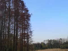-长广溪湿地公园