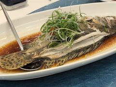 -圆苑(静安寺店)