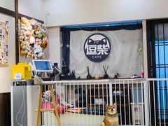 -逗柴咖啡屋·狗咖猫咖宠物桌游