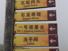 -洋山深水港