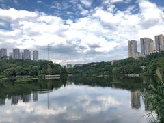 -重庆彩云湖湿地公园