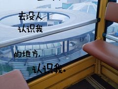 -琴岛之星摩天轮