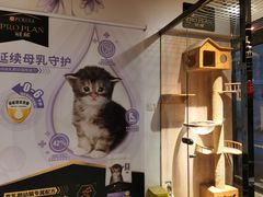 -米卢宠物公园(广华居店)