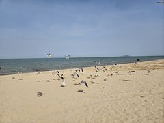 -那香海钻石沙滩浴场