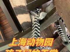 -上海野生动物园