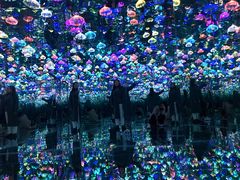 -上海梵高星空艺术馆(南京路旗舰店)