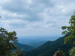 -海南热带雨林国家公园吊罗山景区