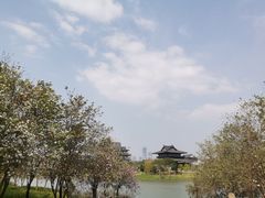 -海珠湖公园