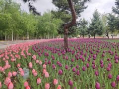 -长春公园(普阳街道)