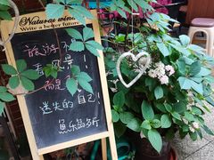 -鱼乐岛餐厅·户外花园主题餐厅