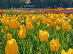 -长春公园(普阳街道)