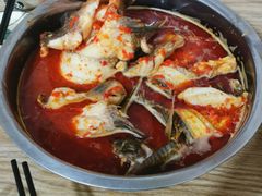 -风鑫铃罗非鱼(道沟店)