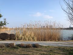 -澹台湖公园