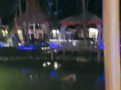 -二荆条·蜀鲜汇城市森林火锅