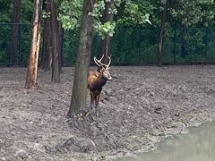 -溱湖国家湿地公园