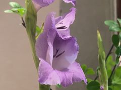 -明州府(文化广场店)