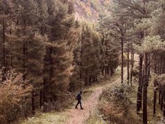 -玉泉威虎山森林公园