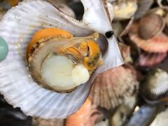 -海帮主·蒸汽海鲜青岛菜(栈桥火车站店)