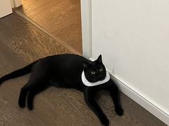 -福建省奥林匹克体育中心游泳馆