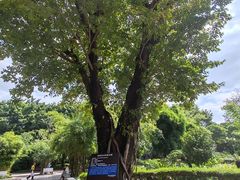 -晓港公园