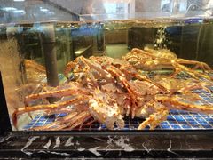 -高佳庄·舟山海鲜(海景旗舰店)