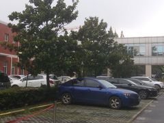 -同济大学附属上海市肺科医院·停车场