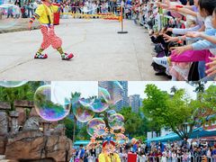 -海合安成都极地海洋公园